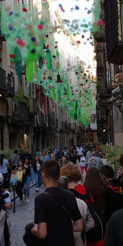 zqlub532Vb3myTKVdbnZ