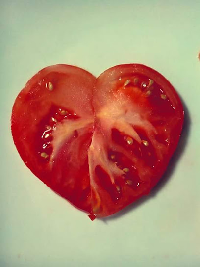 o6BkfWBCRKO8pLWOqf2Y