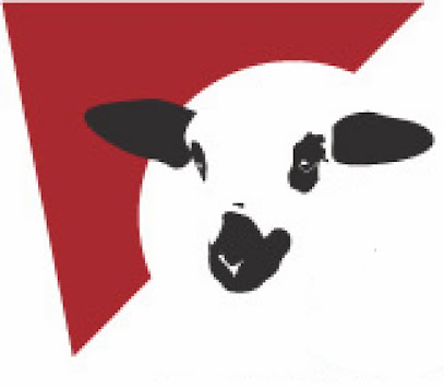 WbsABRZELI3sh0hVZ4fy