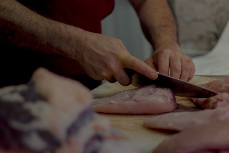 MG 8904 min scaled 1 768x512